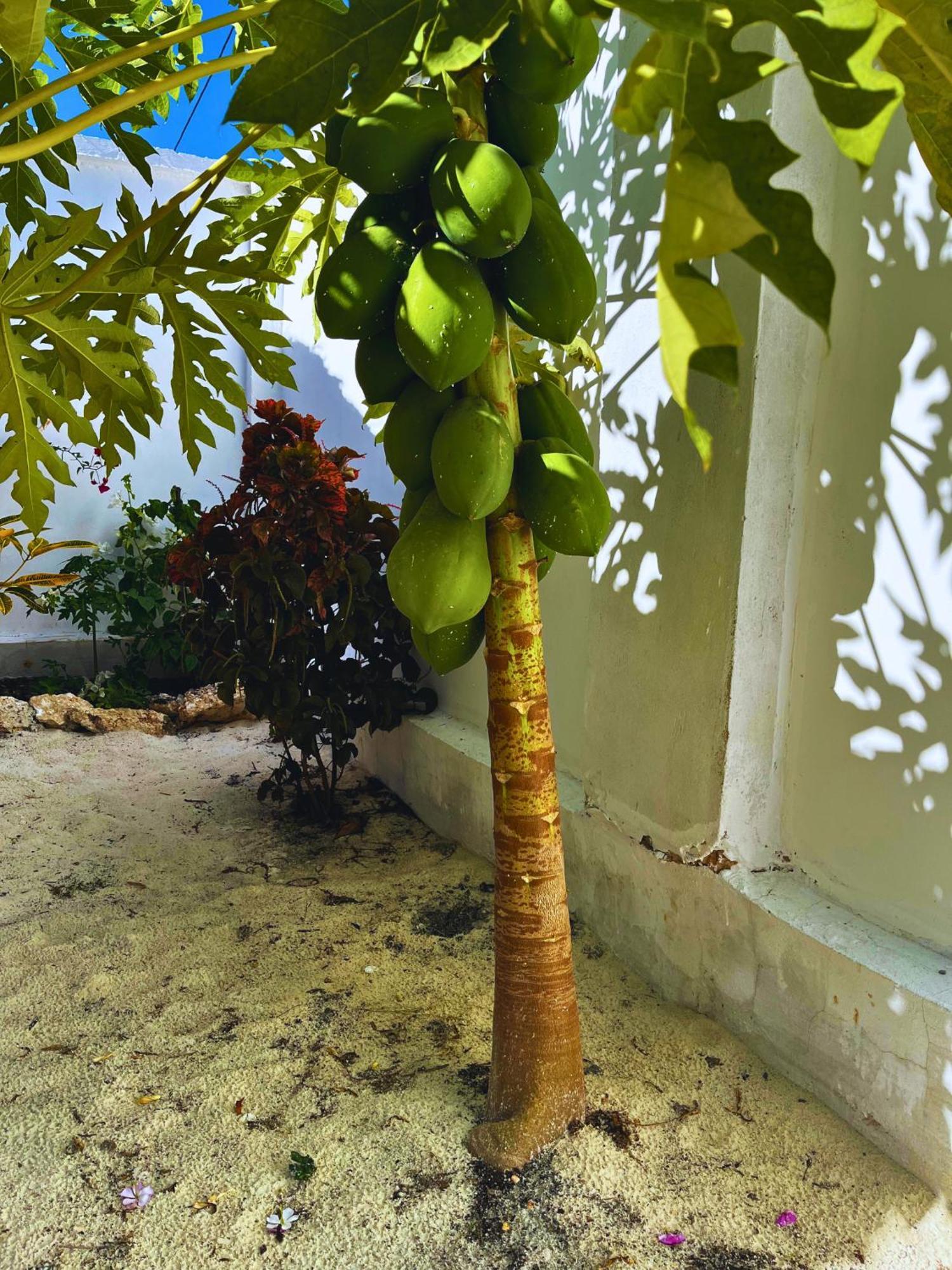 Sabali Lodge, Zanzibar Джамбиани Экстерьер фото